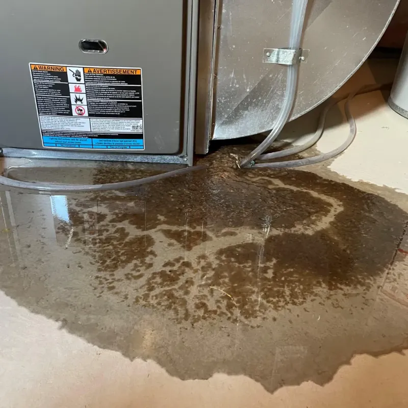 Appliance Leak Cleanup in Frewsburg, NY